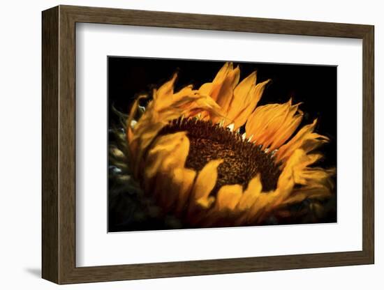 alive and Living-Philippe Sainte-Laudy-Framed Photographic Print