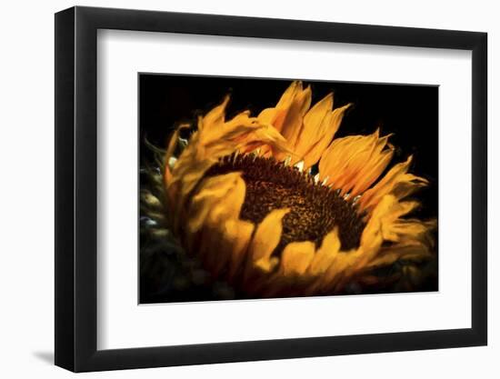 alive and Living-Philippe Sainte-Laudy-Framed Photographic Print