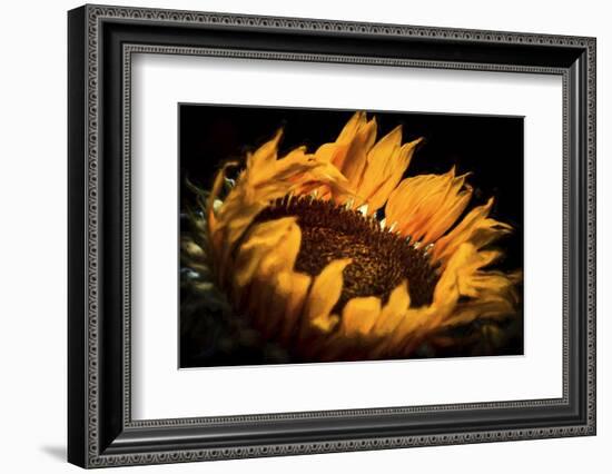 alive and Living-Philippe Sainte-Laudy-Framed Photographic Print