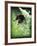 Alive-Michelle Wermuth-Framed Giclee Print