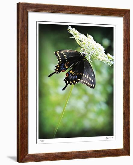 Alive-Michelle Wermuth-Framed Giclee Print