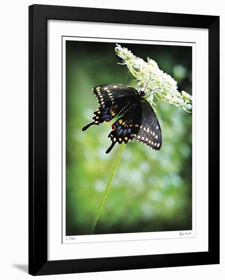 Alive-Michelle Wermuth-Framed Giclee Print