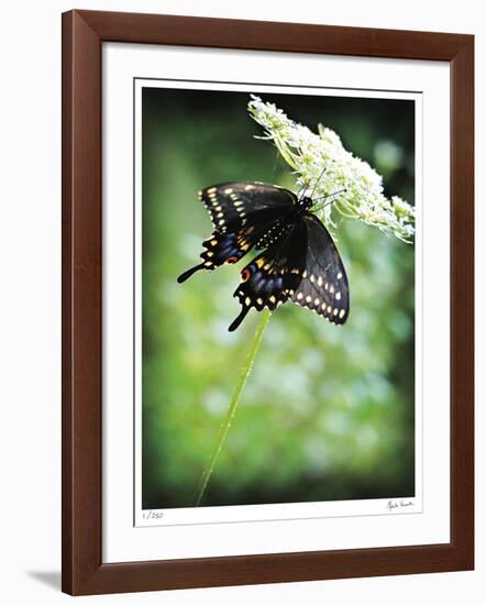 Alive-Michelle Wermuth-Framed Giclee Print