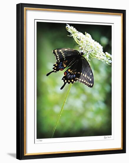 Alive-Michelle Wermuth-Framed Giclee Print