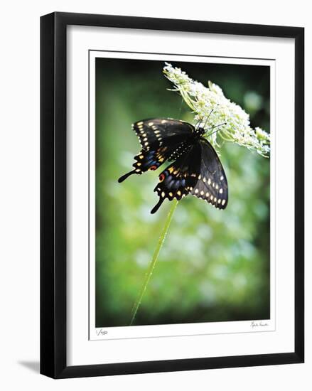 Alive-Michelle Wermuth-Framed Limited Edition