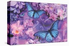 Violet Orchid Morpheus-Alixandra Mullins-Stretched Canvas
