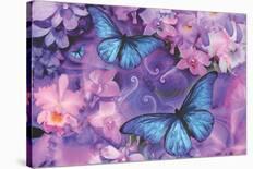 Rainbow Orchid Morpheus-Alixandra Mullins-Stretched Canvas