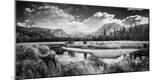 Photographic Print