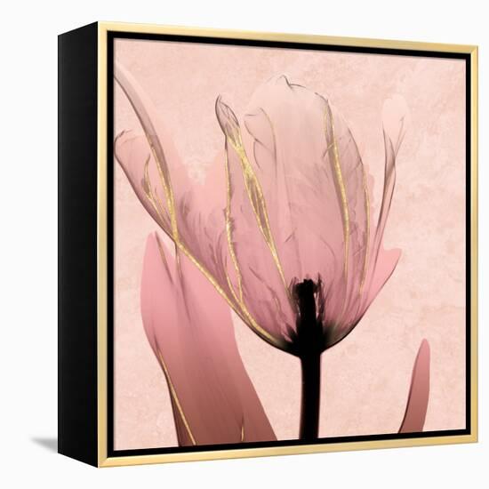 Alizarin Marble Splendor 1-Albert Koetsier-Framed Stretched Canvas