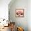 Alizarin Marble Splendor 2-Albert Koetsier-Framed Stretched Canvas displayed on a wall