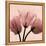 Alizarin Marble Splendor 2-Albert Koetsier-Framed Stretched Canvas