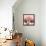 Alizarin Marble Splendor 2-Albert Koetsier-Framed Stretched Canvas displayed on a wall