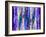 All About Purple-Ruth Palmer-Framed Art Print