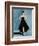 All About the Dress-Clayton Rabo-Framed Giclee Print