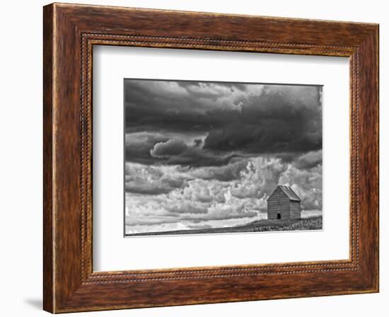 All Alone-Trent Foltz-Framed Art Print