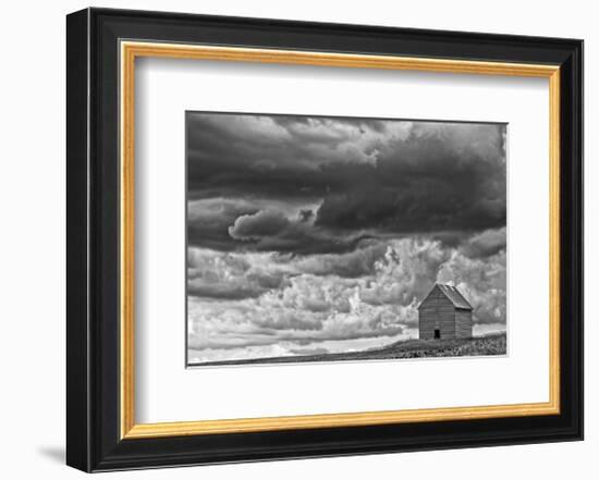 All Alone-Trent Foltz-Framed Art Print