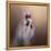 All Dolled Up Shih Tzu-Jai Johnson-Framed Premier Image Canvas