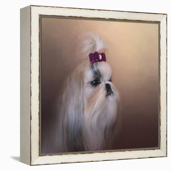 All Dolled Up Shih Tzu-Jai Johnson-Framed Premier Image Canvas