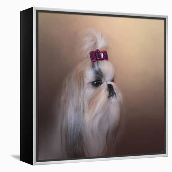 All Dolled Up Shih Tzu-Jai Johnson-Framed Premier Image Canvas