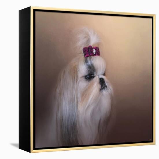 All Dolled Up Shih Tzu-Jai Johnson-Framed Premier Image Canvas