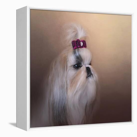 All Dolled Up Shih Tzu-Jai Johnson-Framed Premier Image Canvas