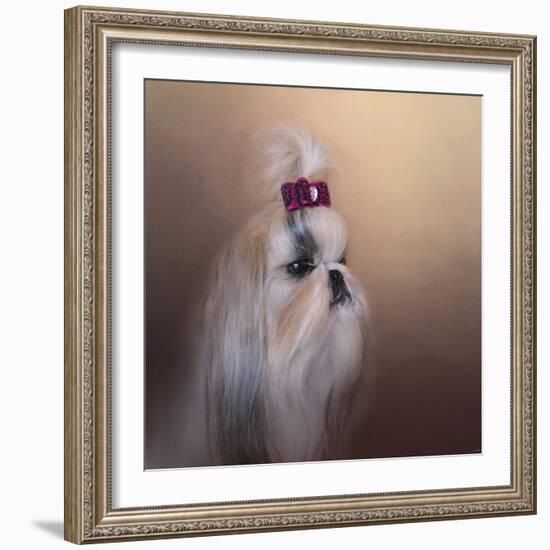 All Dolled Up Shih Tzu-Jai Johnson-Framed Giclee Print