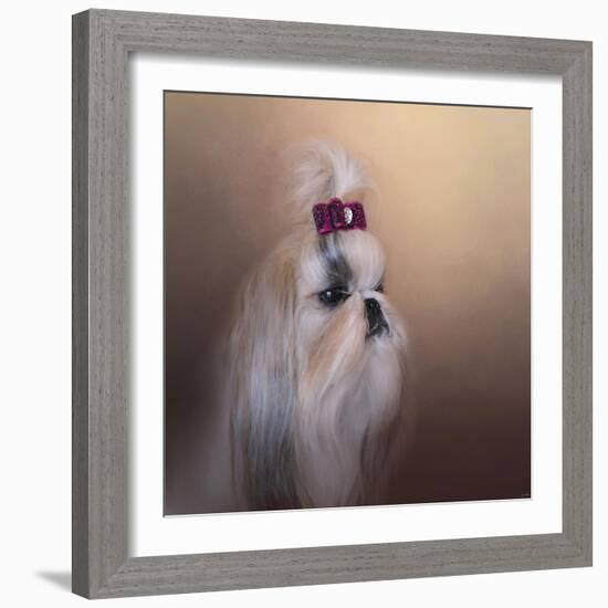 All Dolled Up Shih Tzu-Jai Johnson-Framed Giclee Print