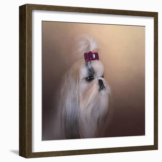 All Dolled Up Shih Tzu-Jai Johnson-Framed Giclee Print