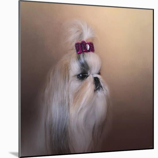 All Dolled Up Shih Tzu-Jai Johnson-Mounted Giclee Print