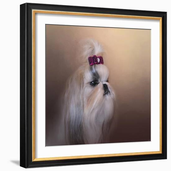 All Dolled Up Shih Tzu-Jai Johnson-Framed Giclee Print