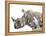 All Down at the Watering Hole-James Hager-Framed Premier Image Canvas