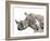 All Down at the Watering Hole-James Hager-Framed Photographic Print