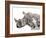 All Down at the Watering Hole-James Hager-Framed Photographic Print