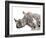 All Down at the Watering Hole-James Hager-Framed Photographic Print