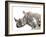 All Down at the Watering Hole-James Hager-Framed Photographic Print