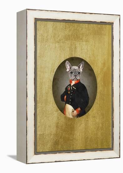 All Dressed up Frenchie-Amanda Greenwood-Framed Stretched Canvas