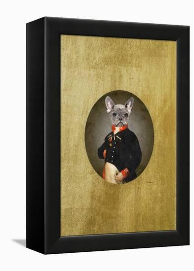 All Dressed up Frenchie-Amanda Greenwood-Framed Stretched Canvas