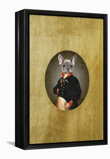 All Dressed up Frenchie-Amanda Greenwood-Framed Stretched Canvas