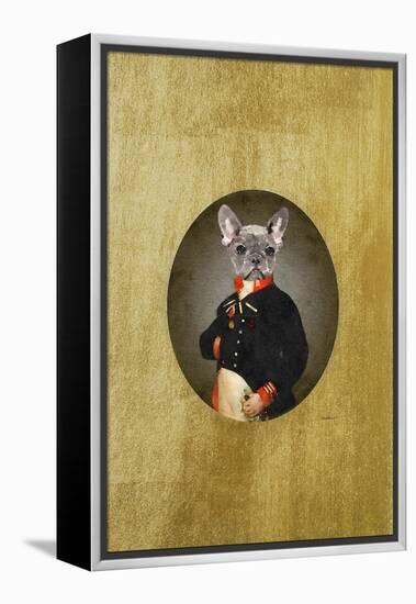 All Dressed up Frenchie-Amanda Greenwood-Framed Stretched Canvas