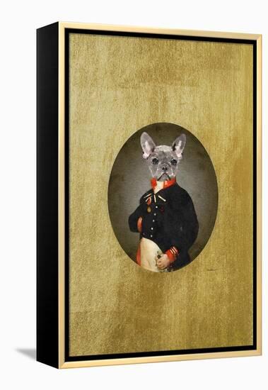 All Dressed up Frenchie-Amanda Greenwood-Framed Stretched Canvas