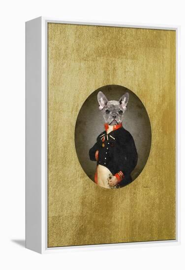 All Dressed up Frenchie-Amanda Greenwood-Framed Stretched Canvas