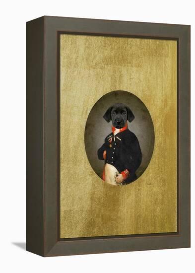 All Dressed up Labrador-Amanda Greenwood-Framed Stretched Canvas