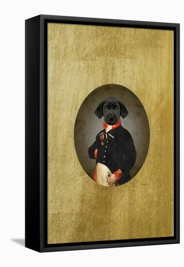 All Dressed up Labrador-Amanda Greenwood-Framed Stretched Canvas