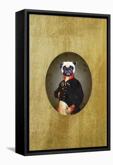 All Dressed up Pug-Amanda Greenwood-Framed Stretched Canvas