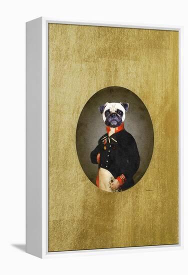 All Dressed up Pug-Amanda Greenwood-Framed Stretched Canvas