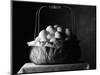 All Eggs in One Basket-Jim Craigmyle-Mounted Photographic Print