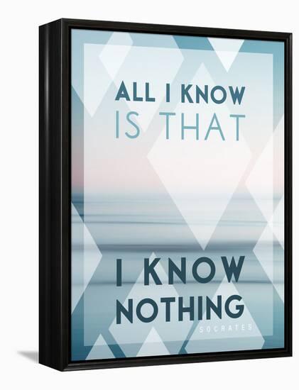 All I Know Is I Know Nothing-Lee Frost-Framed Stretched Canvas