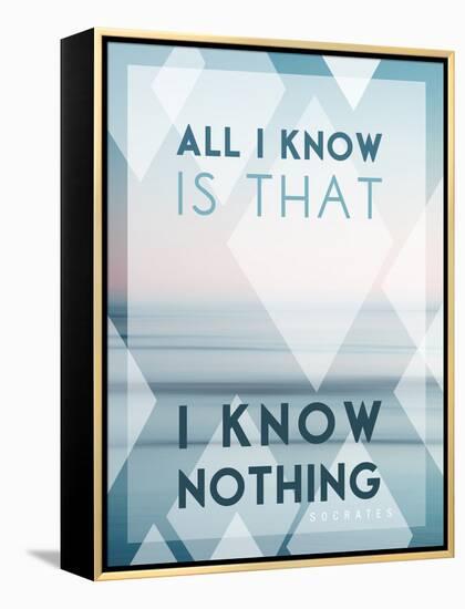 All I Know Is I Know Nothing-Lee Frost-Framed Stretched Canvas