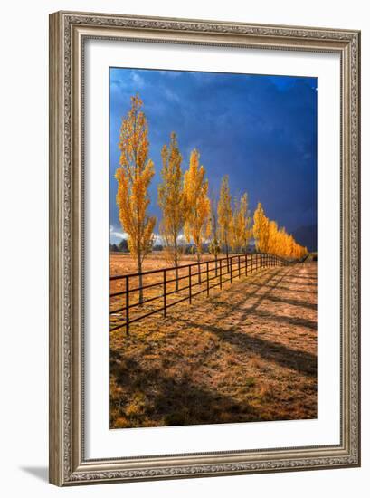 All in a Row-Bob Larson-Framed Art Print