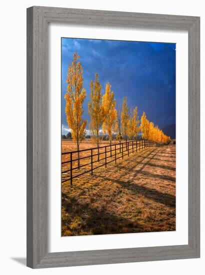 All in a Row-Bob Larson-Framed Art Print